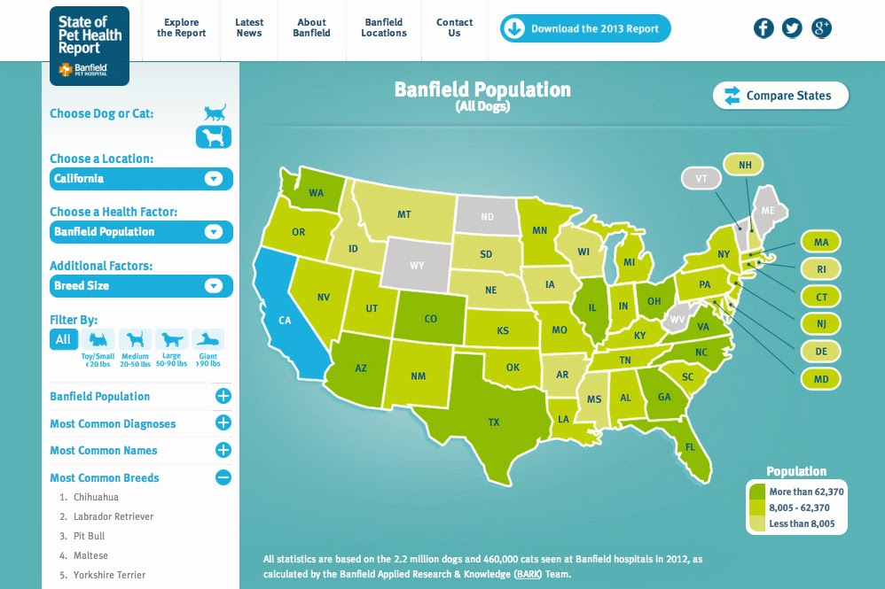 BAD RAP Blog U.S. love for pit bulls, bigger than you thought