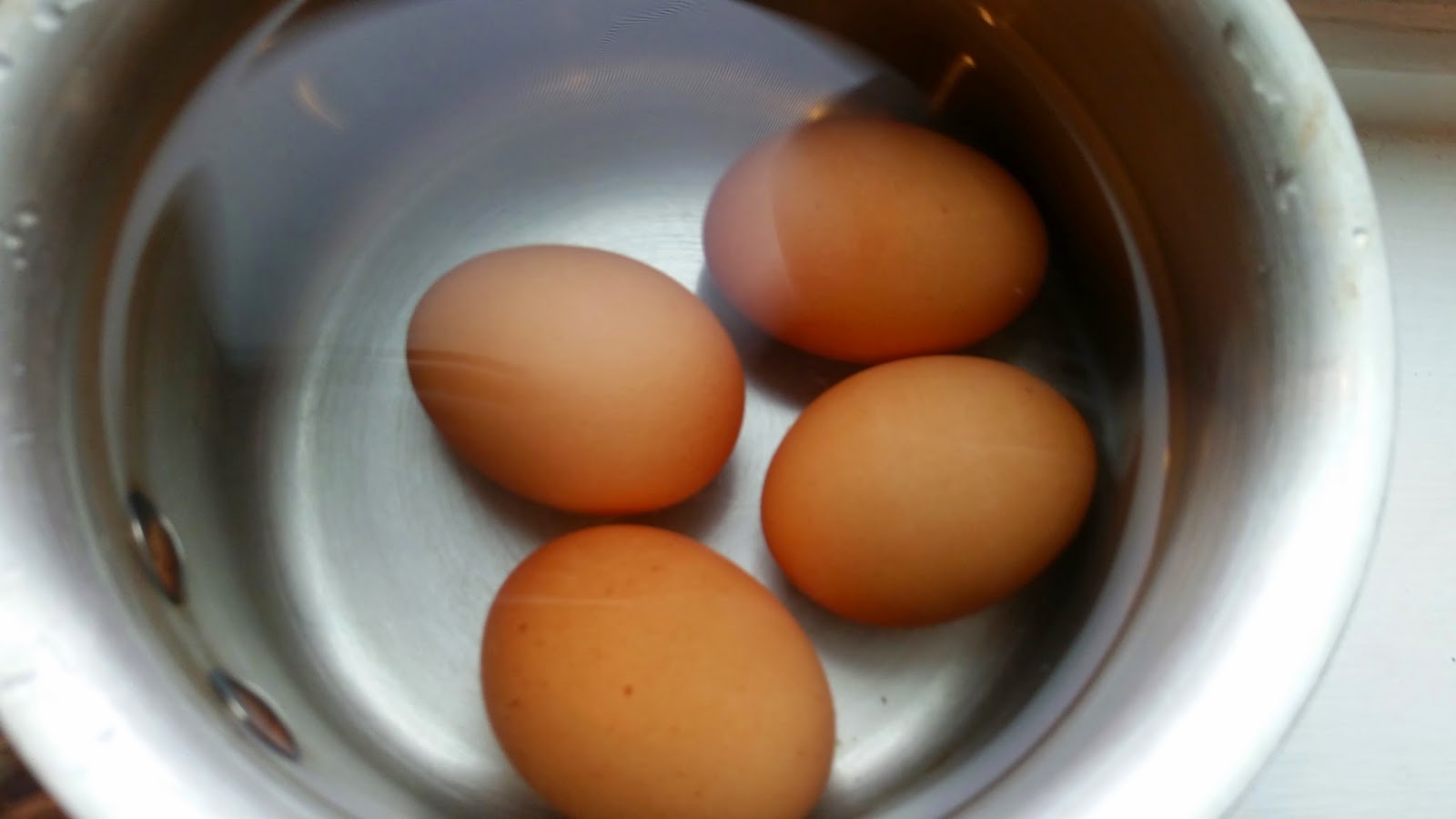 Let's Talk About Eggs...