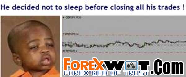 Successful forex trader meme * texewekiro.web.fc2.com