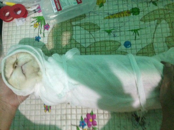 Pelajaran Yang Gue Dapet Dari Sundae Shitlicious