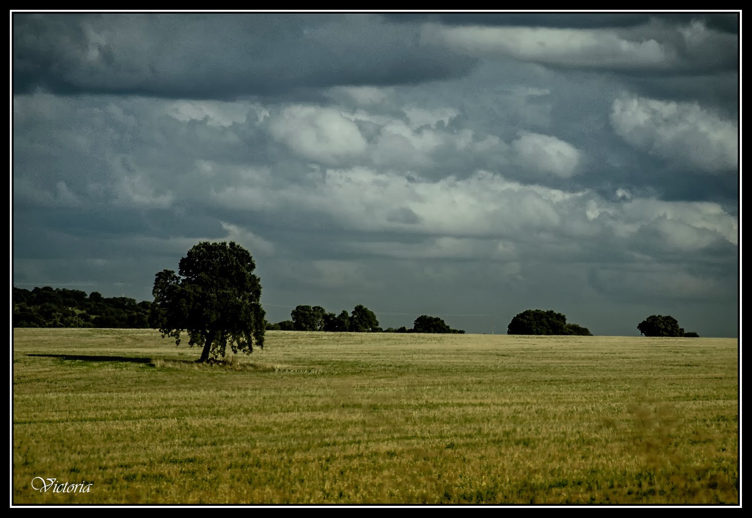 Fotografías en la Mancha LLanura