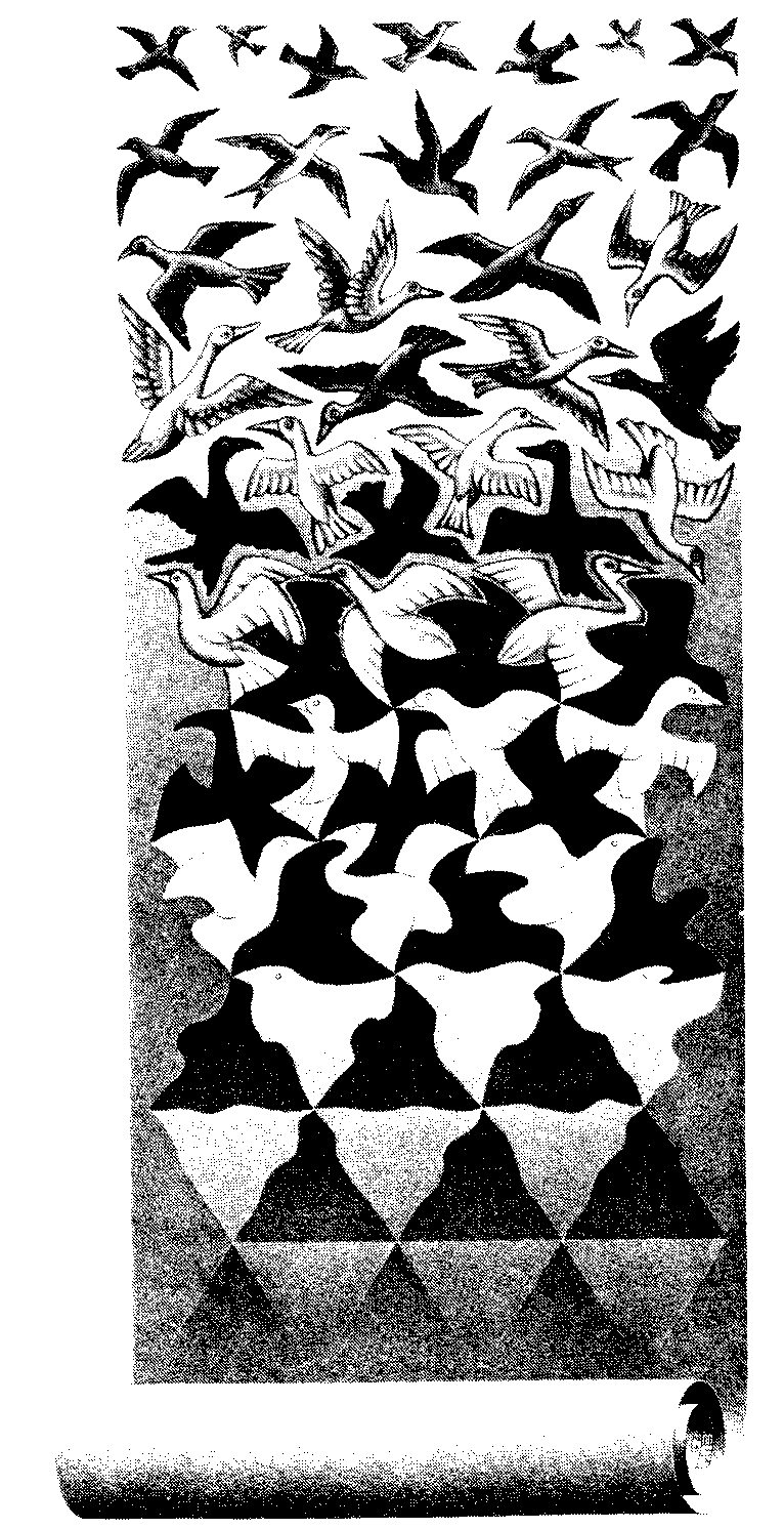 Escher Patterns