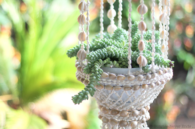 coquillages,suspension,cactus,plantes grasses,home sweet home