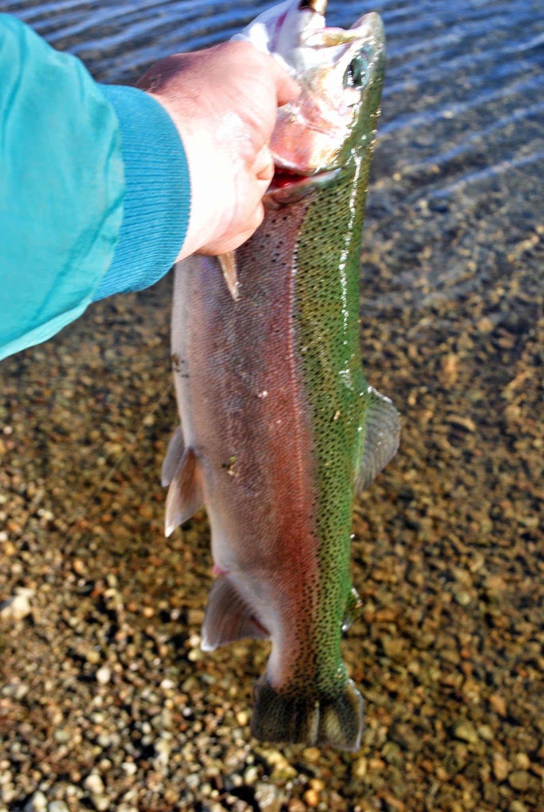 Litton's Fishing Lines Round Valley Winter Lake Trout Possible to