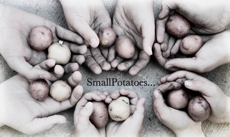 Small Potatoes