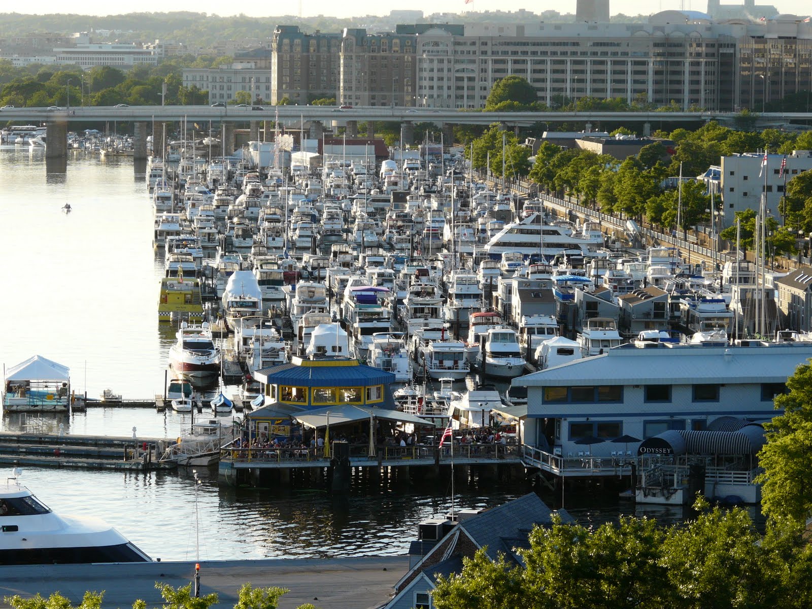 Capitol Hill Garden Club Magical May Walk at Harbour Square
