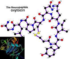Oxitocina