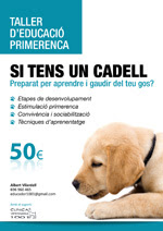 Taller de cadells