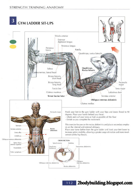 أهم تمارين لشد وتقوية عضلات البطن  Abdominal+112