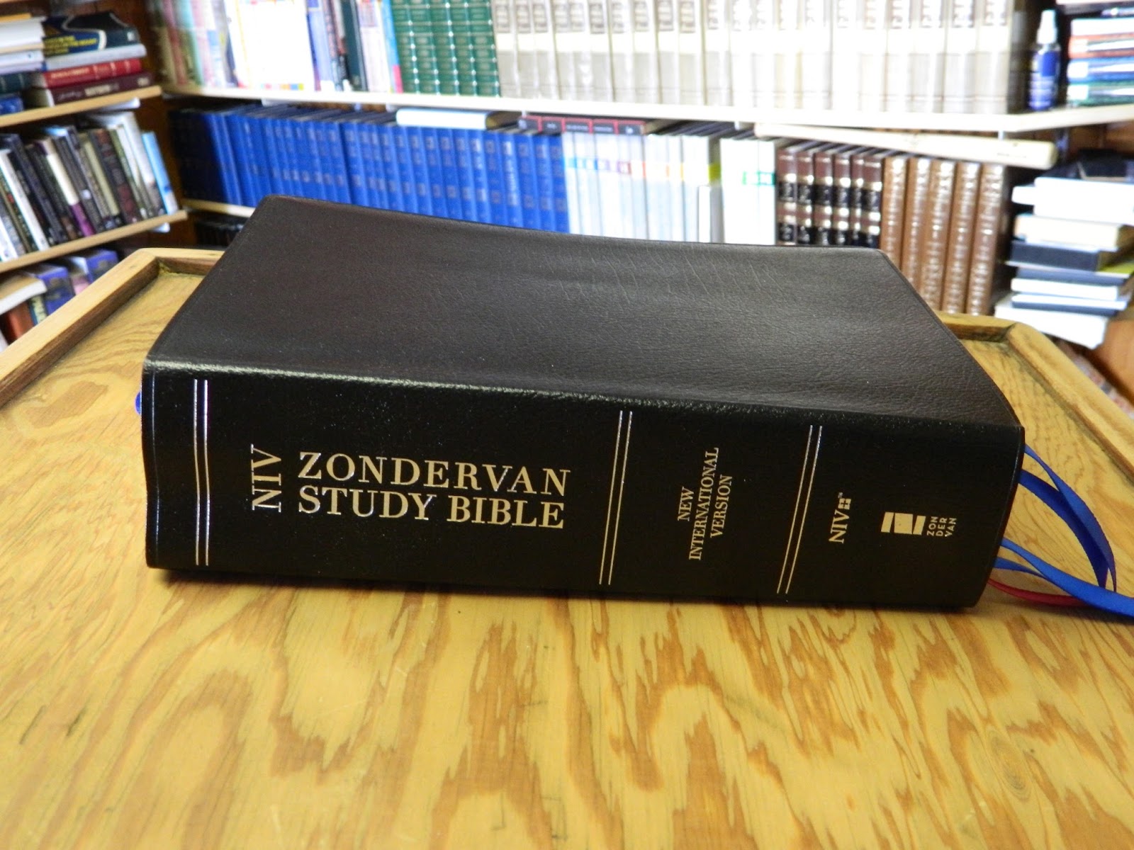 Niv Teen Study Bible