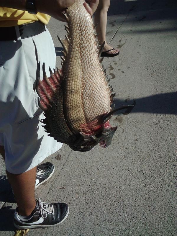 After the events at Lake Victor...