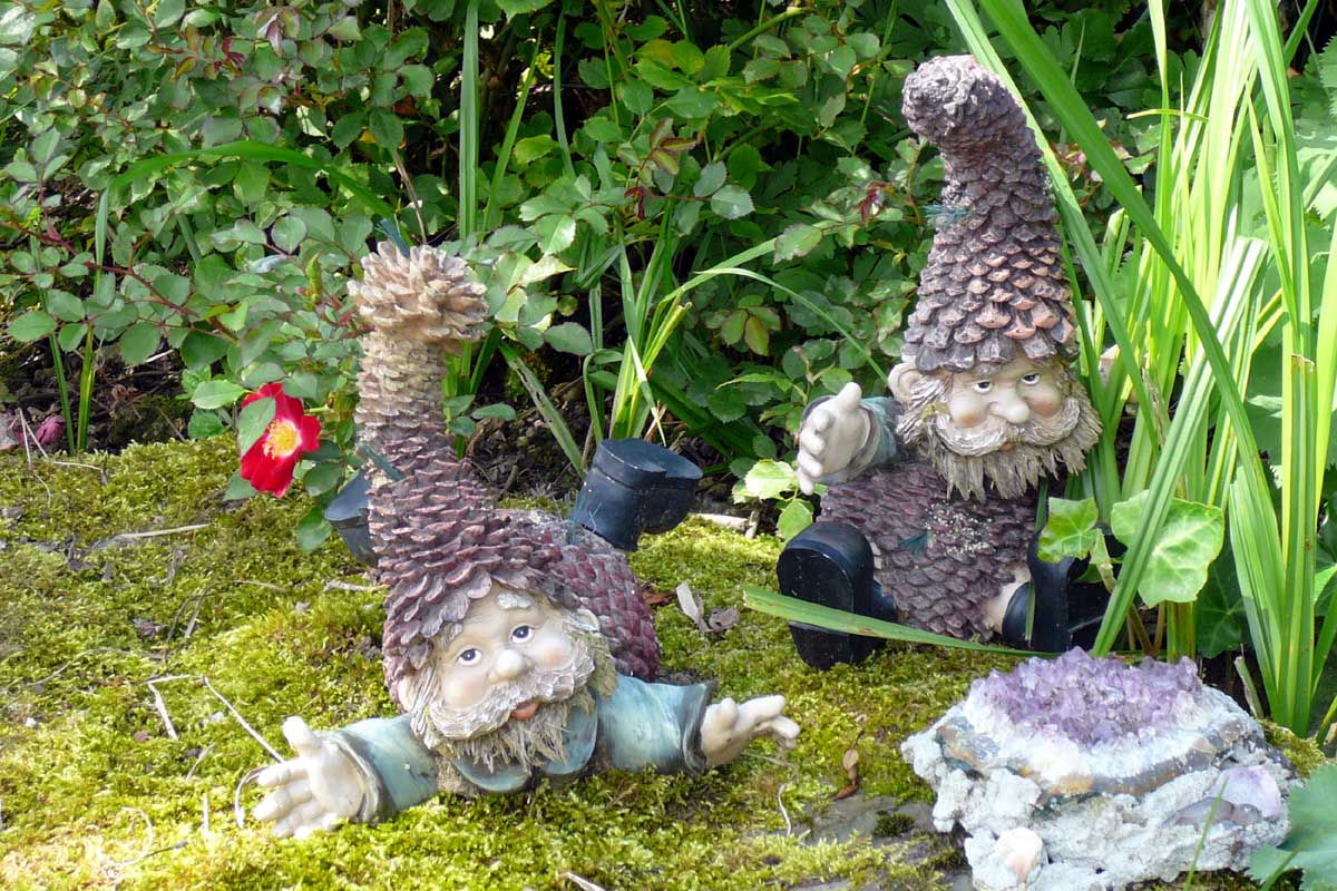 Displaying 20> Images For - Funny Lawn Gnomes...