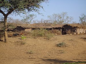 Maldhari Tribal settlement inside Gir National Park.