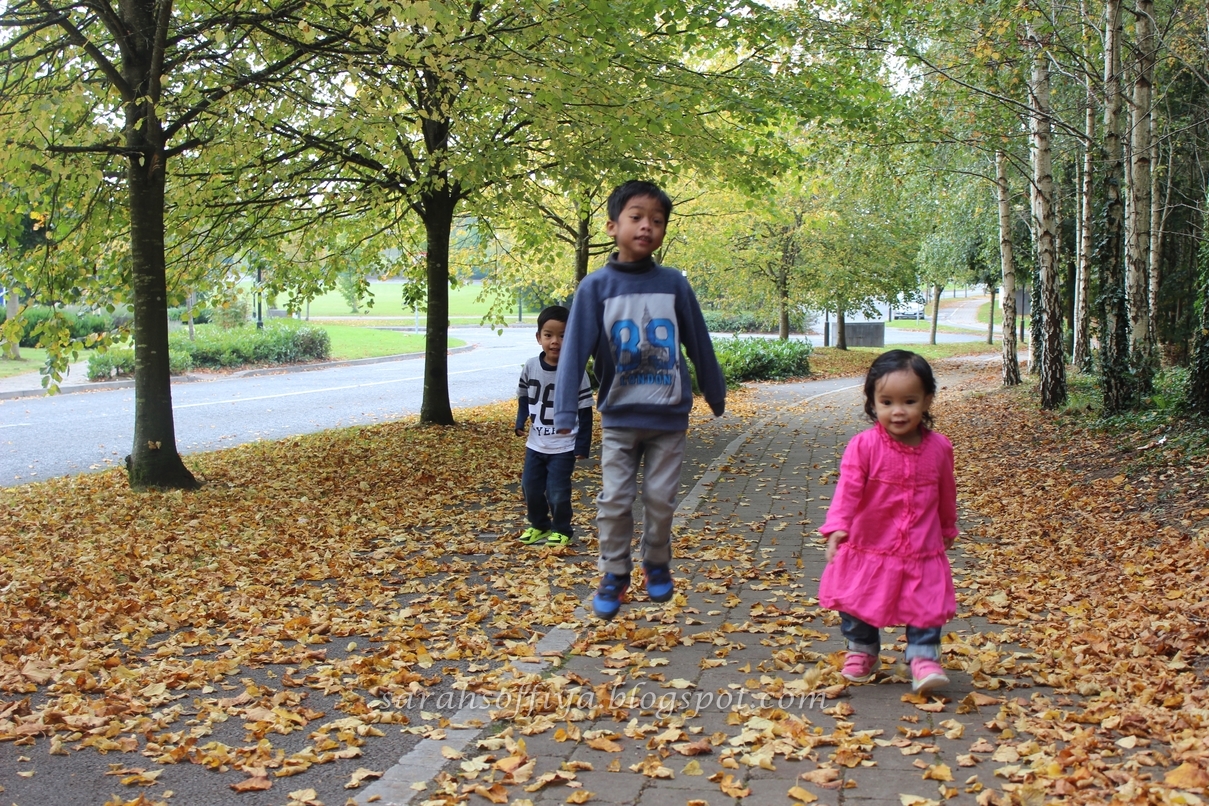 Cerita Kembara Kami Kisahnya Di Musim Luruh