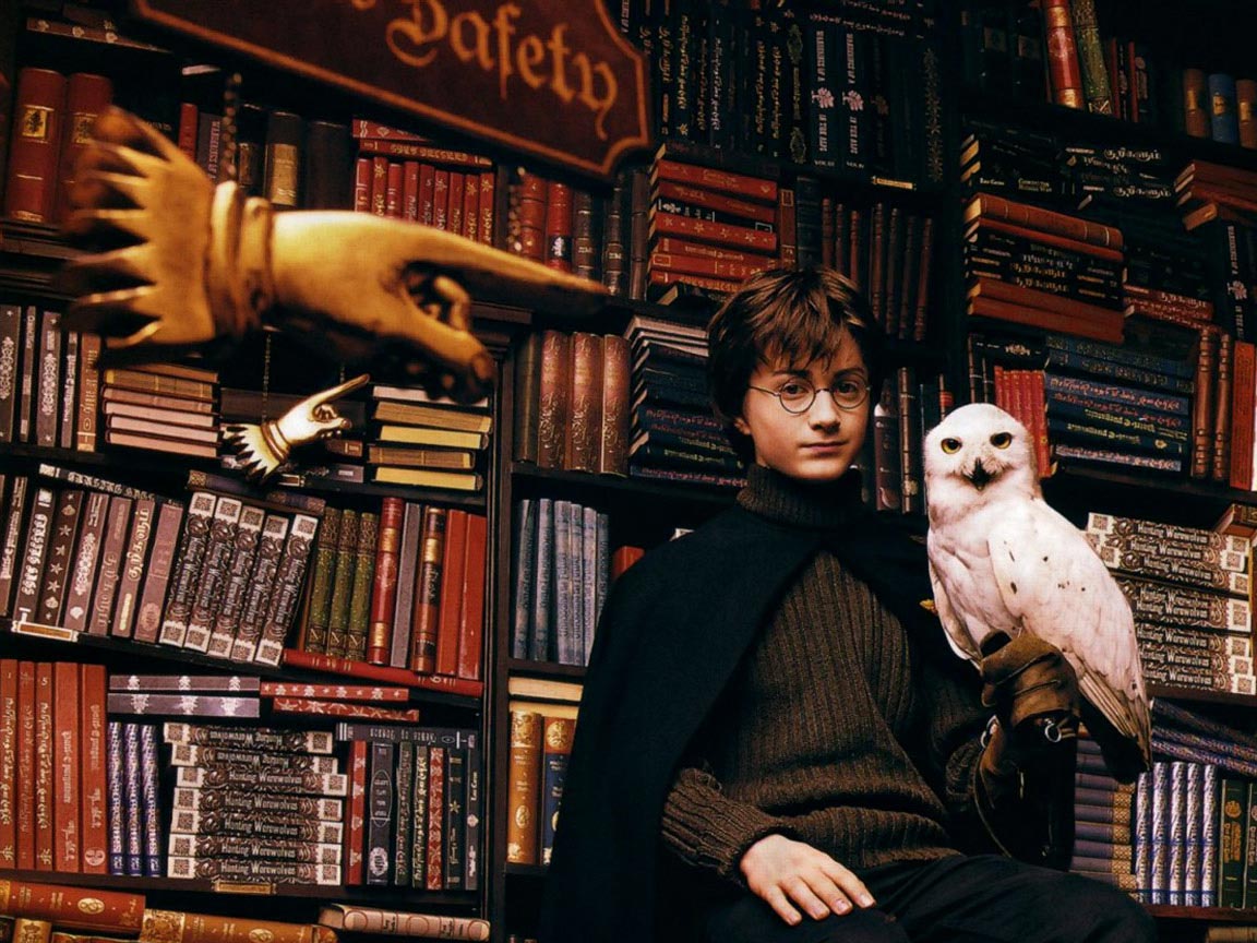 harry potter magical creatures wallpaper harry potter magical creatures wallpaper