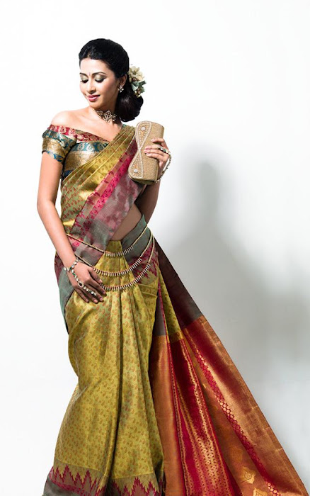 gayathiri wonderful saree ad collections 2012 hot photoshoot