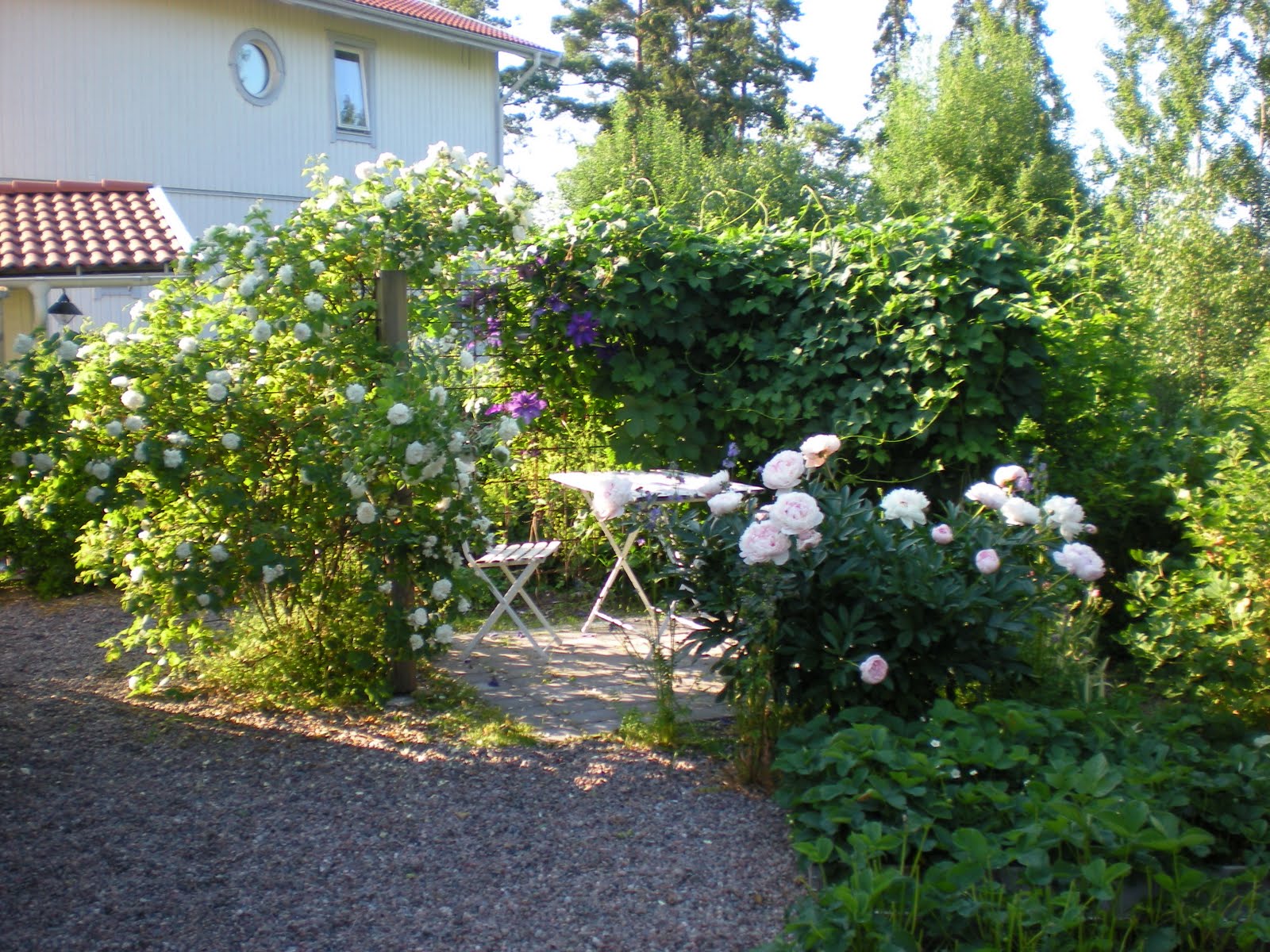 Trädgård på berget: blommande växter
