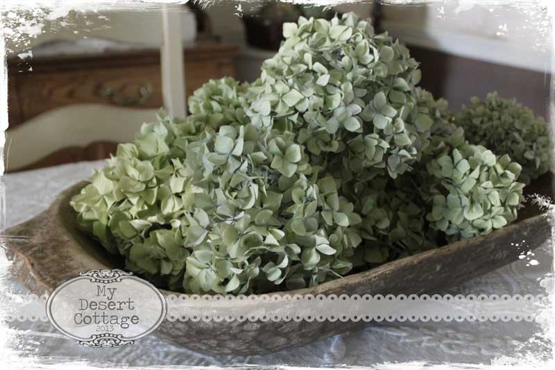 Ellen Dugan S Blog Of Witchery Summer Of The Hydrangeas
