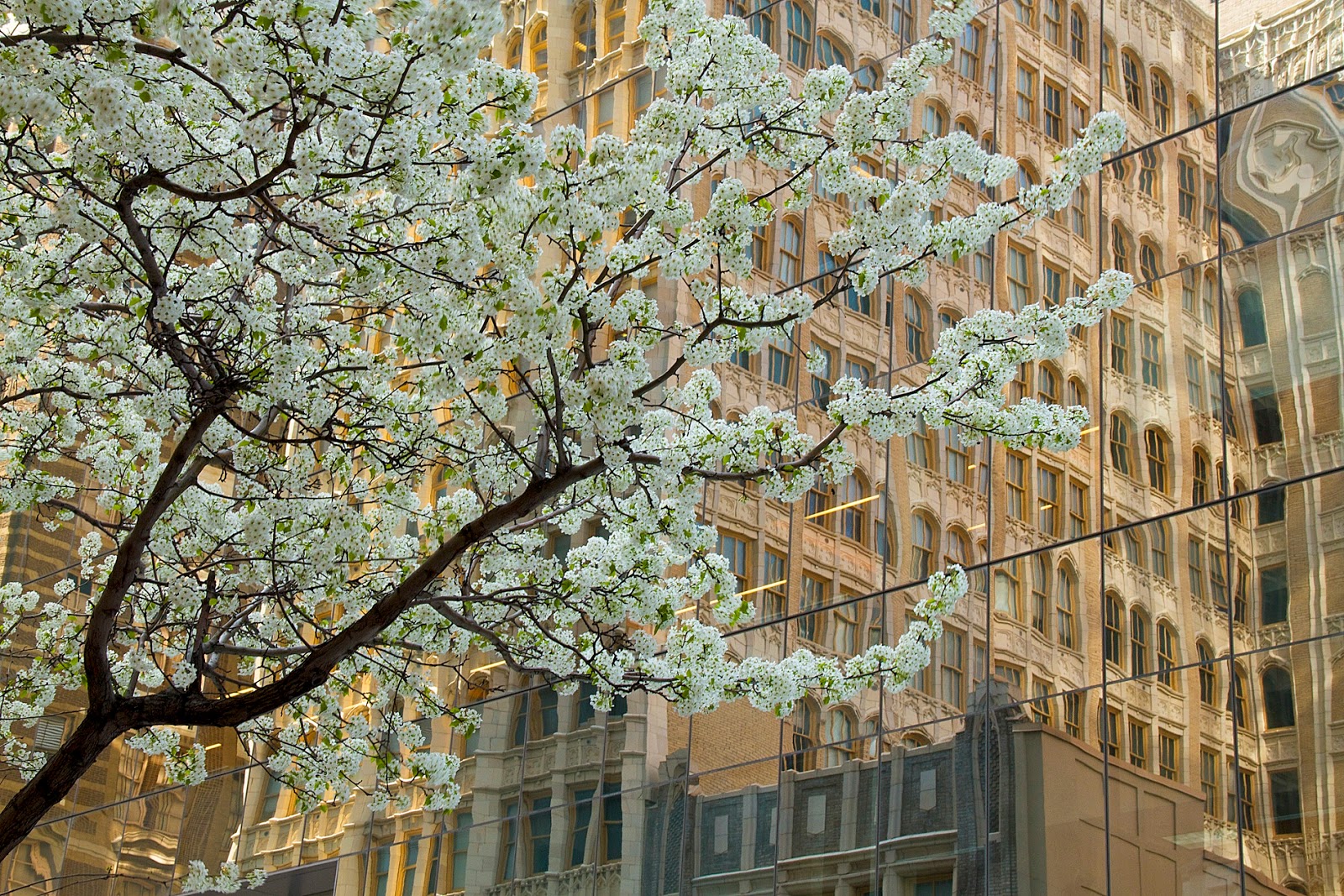Josh Friedman Photography SpringADelphia Photographs of
