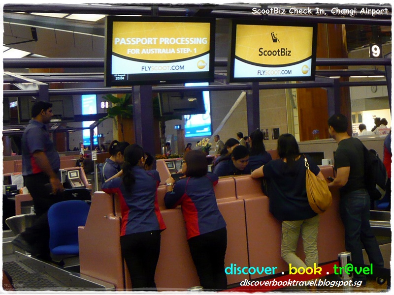 Scoot Airline Experience Review of our flight to Gold Coast on Scoot