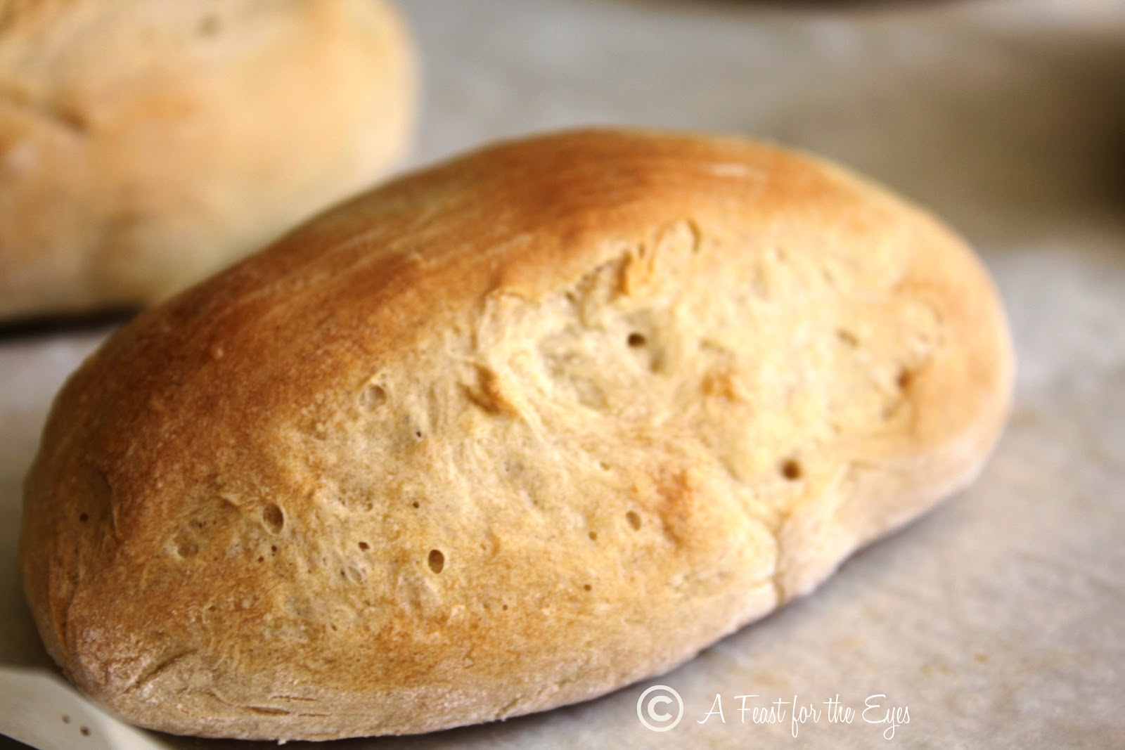a feast for the eyes mexican bolillo torta oval rolls a feast for the eyes mexican bolillo torta oval rolls