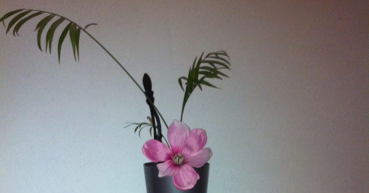 Osada Blog : Estantería para el baño