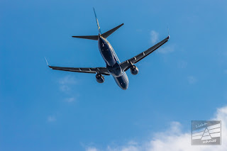 Malteser In Deutschland