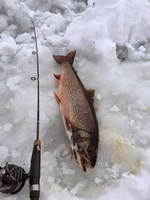 Idaho Pursuit: Ice Fishing Season