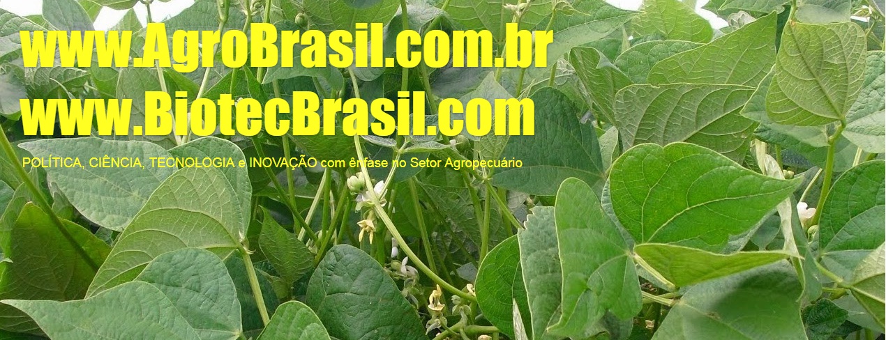 @groBrasil AgroBrasil - Agricultura Brasileira Online