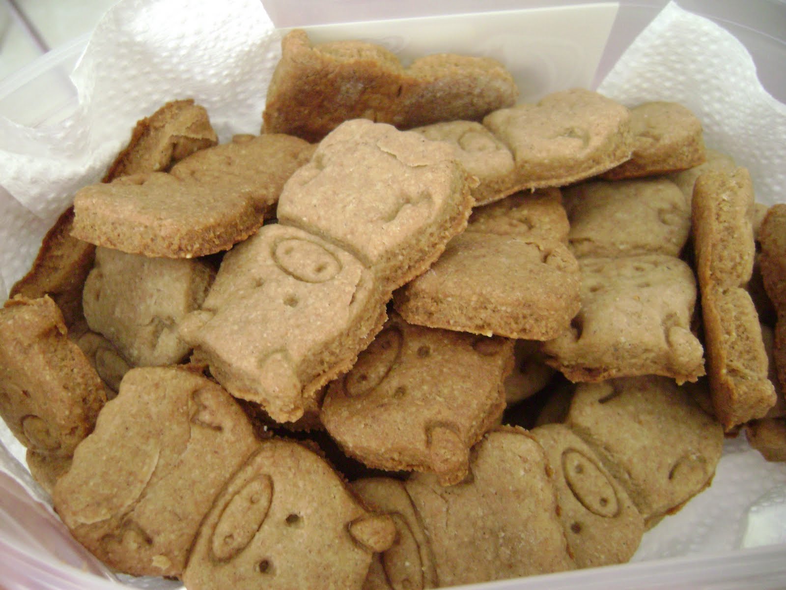 MAHZUN PRENSES&hellip; DOMUZCUK BEBEK BİSKÜVİLERİ