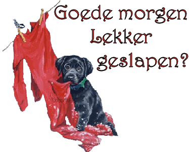 goedemorgen2gif.gif