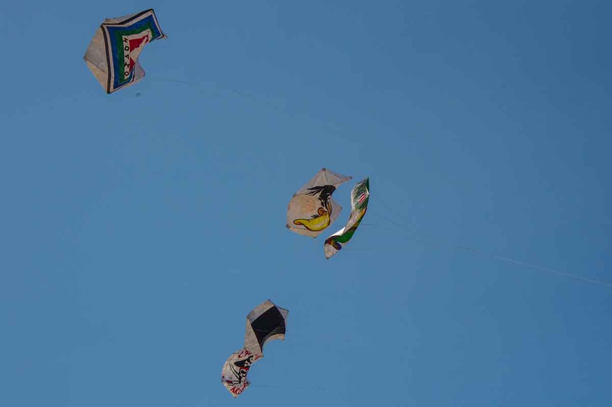 Kissack Adventures WSIKF. Kite Fighting!!