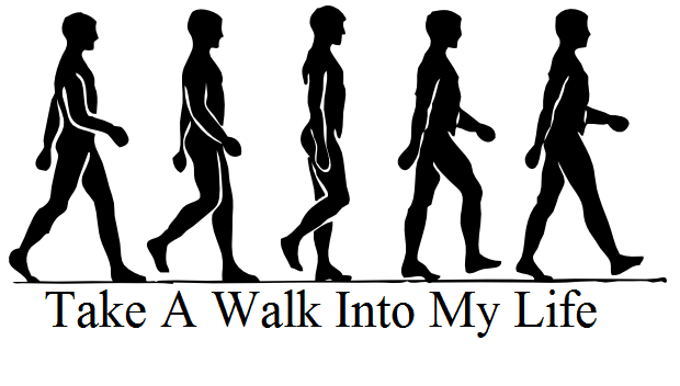 Take A Walk Into My Life