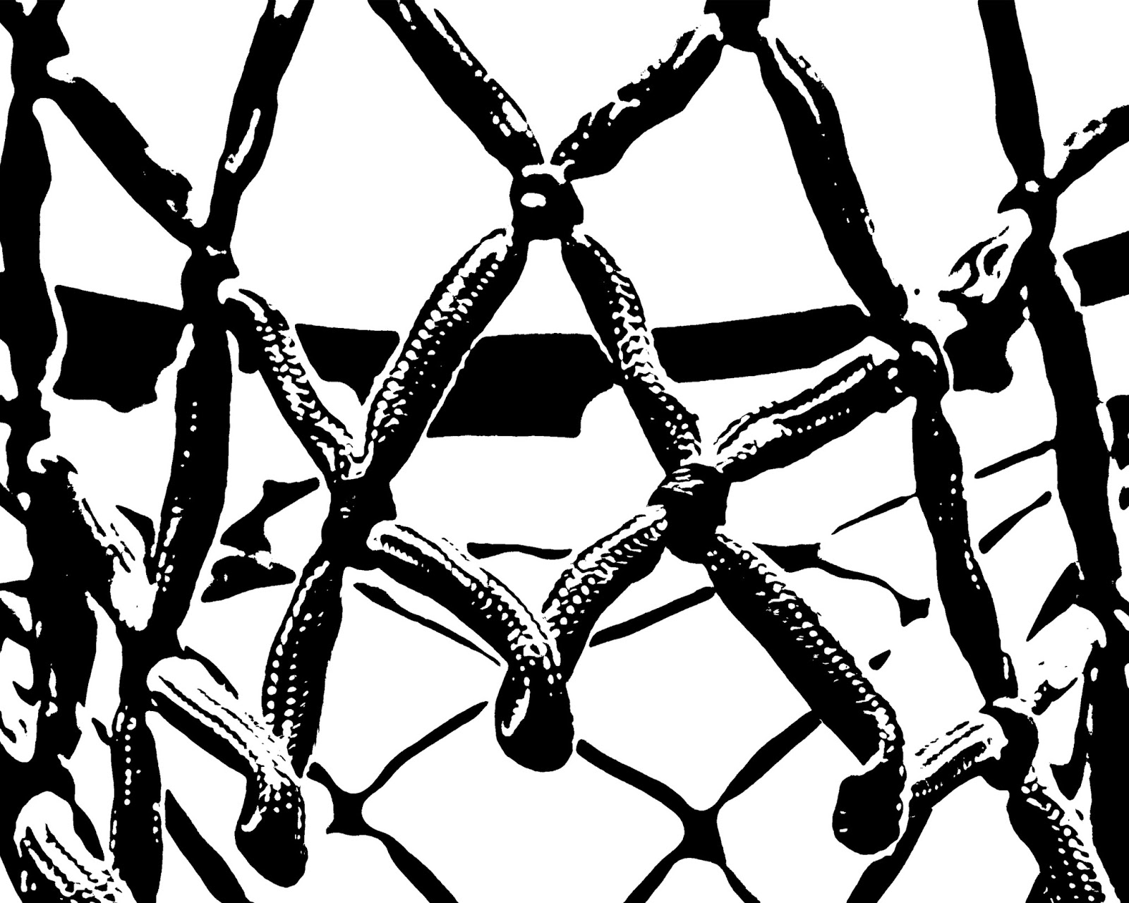 CJO Photo Printable Sports Art 8x10 Basketball Net in Black and White
