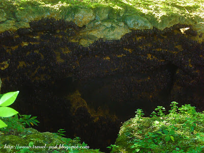 Samal Island Bat Cave Mindanao tourist spots