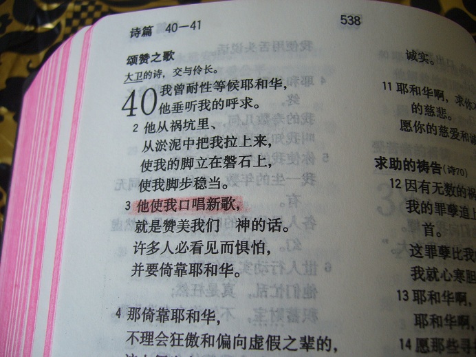Bible Chinese Version Pdf