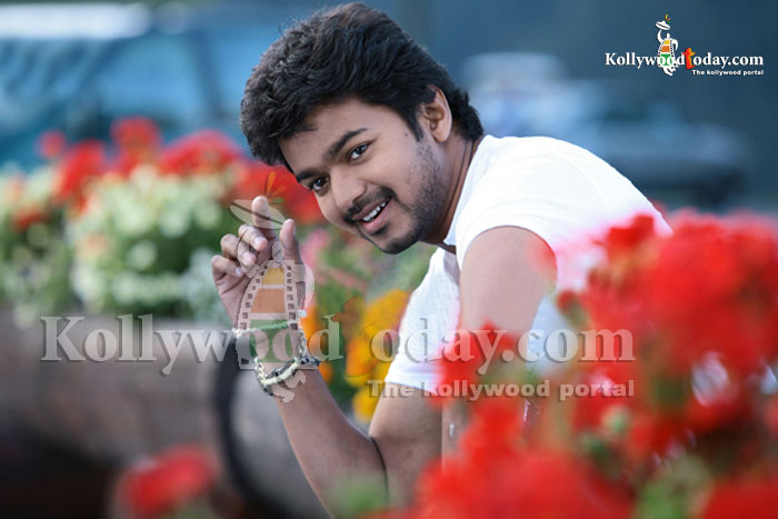 Vijay Latest Wallpapers