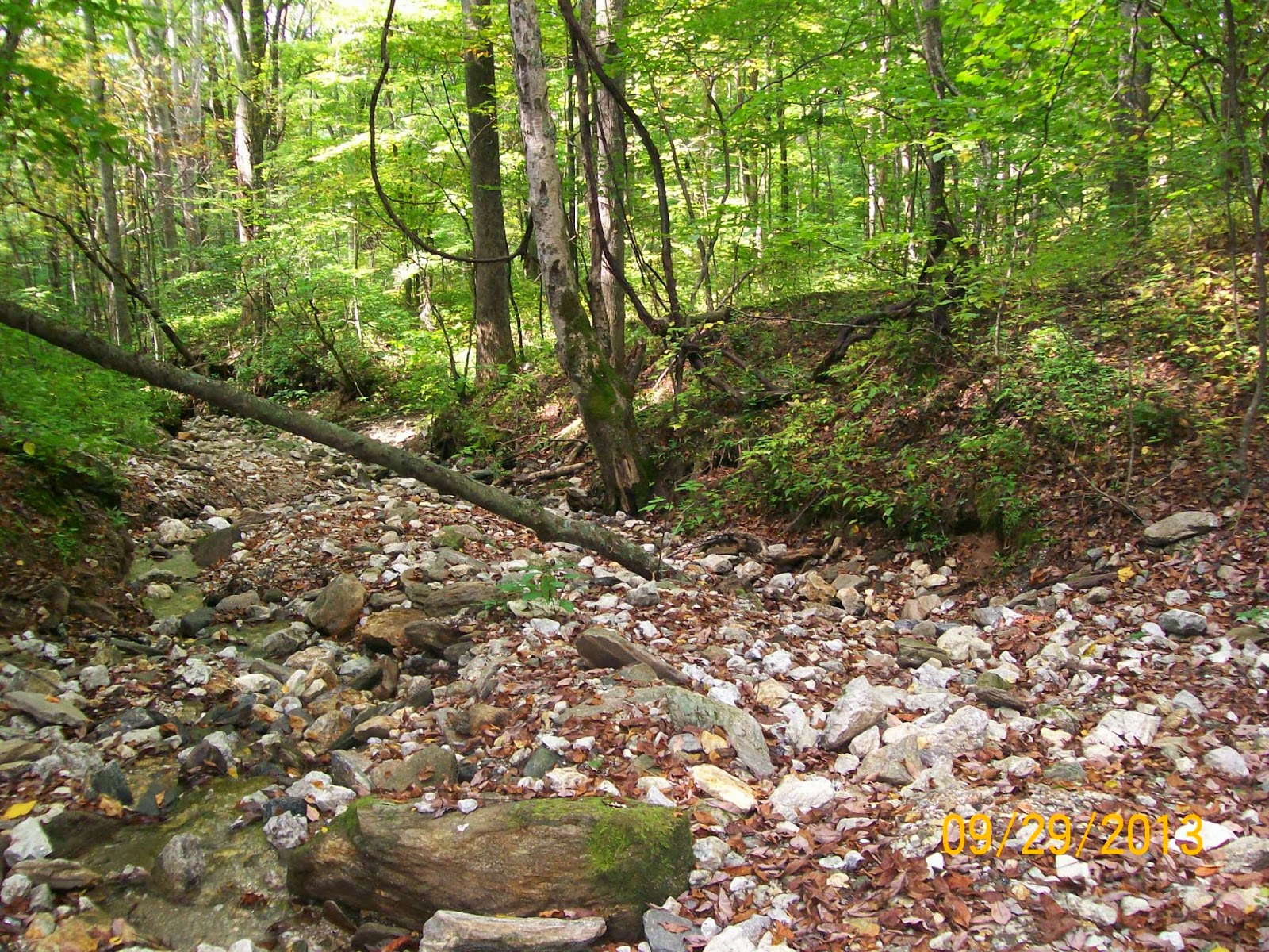 Rockhounding Around Rockhounding at the Ray Mine, North Carolina