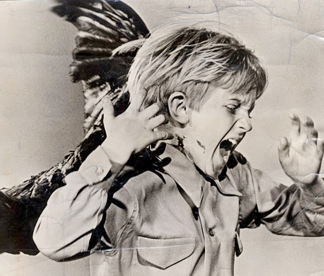 Without Shoes BIRD NEST HEAD