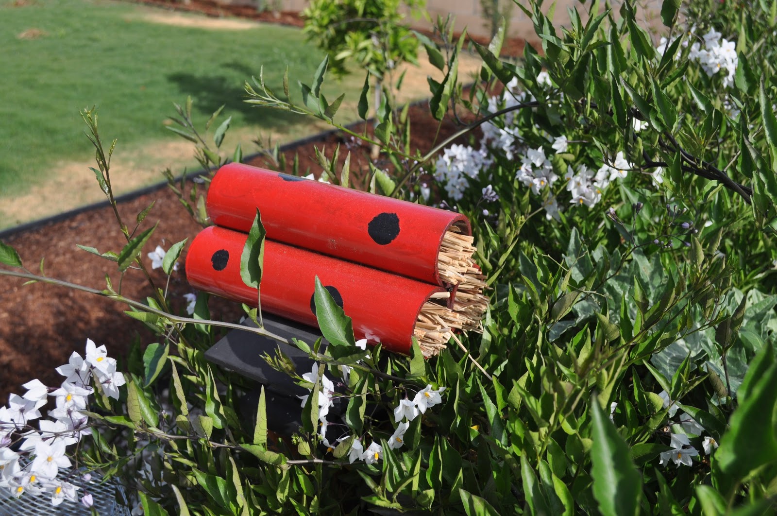 Krafty Kamzels Ladybug House