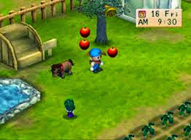 Free Game Harvest Moon Back to Nature Download Full Version