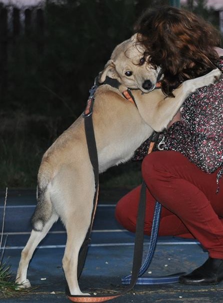 Cudowna Zelda juz w swoim domku