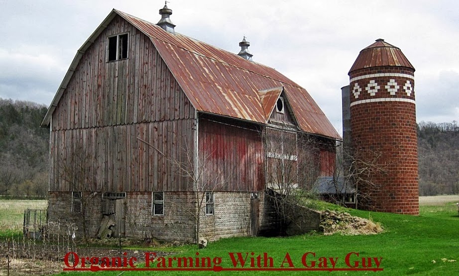 Organic Farming With A Gay Guy