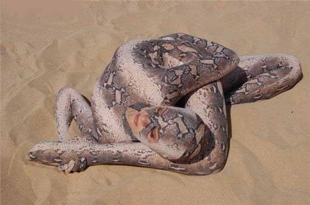 Warisan Semasa Jangan Bunuh Ular Dalam Rumah Atau Anda Akan Dibunuh Warisan Semasa Jangan Bunuh Ular Dalam Rumah Atau Anda Akan Dibunuh