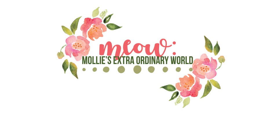 MEOW: Mollie's Extra Ordinary World