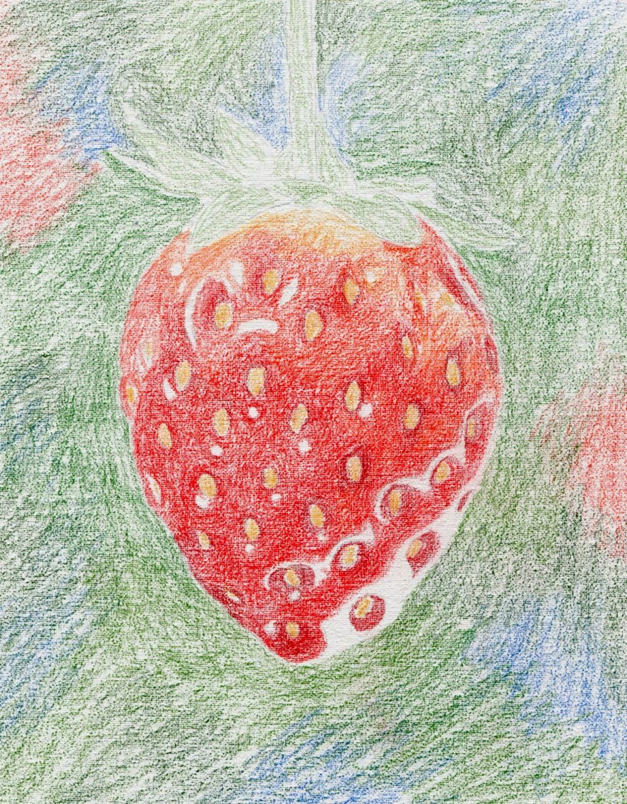 Karen Hull Art Perfect Picking Mini Tutorial working with Inktense