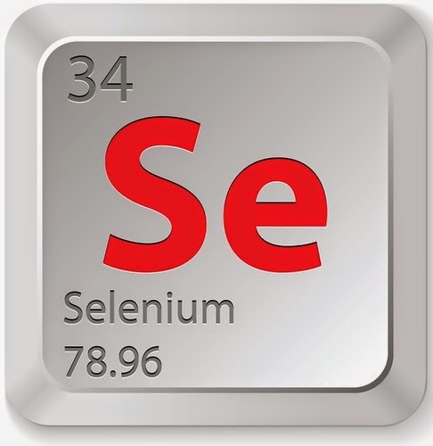 Facts About Selenium Facts About Selenium
