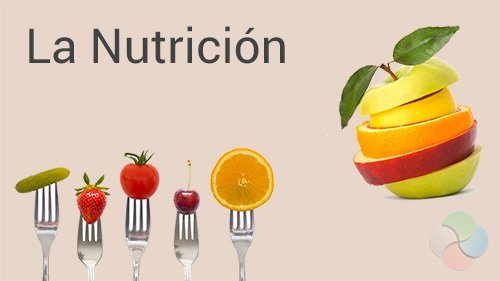 Presentación  Nutricion