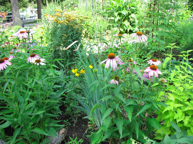 A Corner Garden: East Front Yard Flower Bed