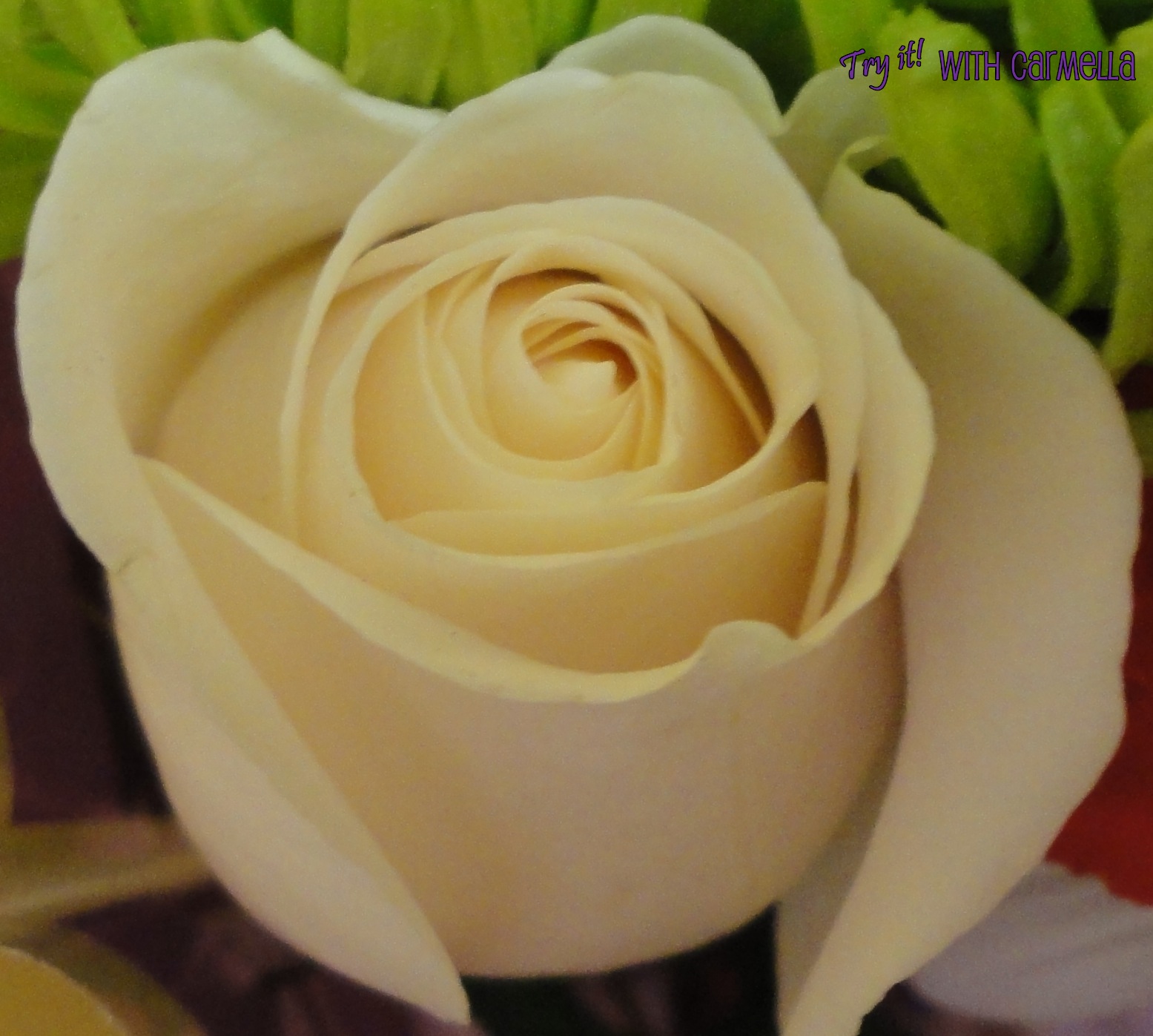 *Try It With Carmella* Beautiful Flower Bundle